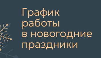График работы в Новогодние праздники!